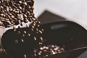 Купити каву в зернах оптом: як правильно зберігати великі партії кави?