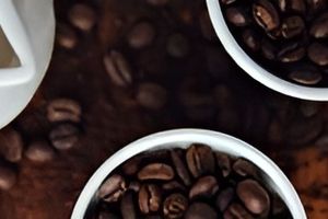 Особливості різних сортів та видів кави