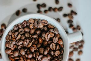 Варіанти кави для всіх! Чому вашій кав'ярні необхідна кава без кофеїну?